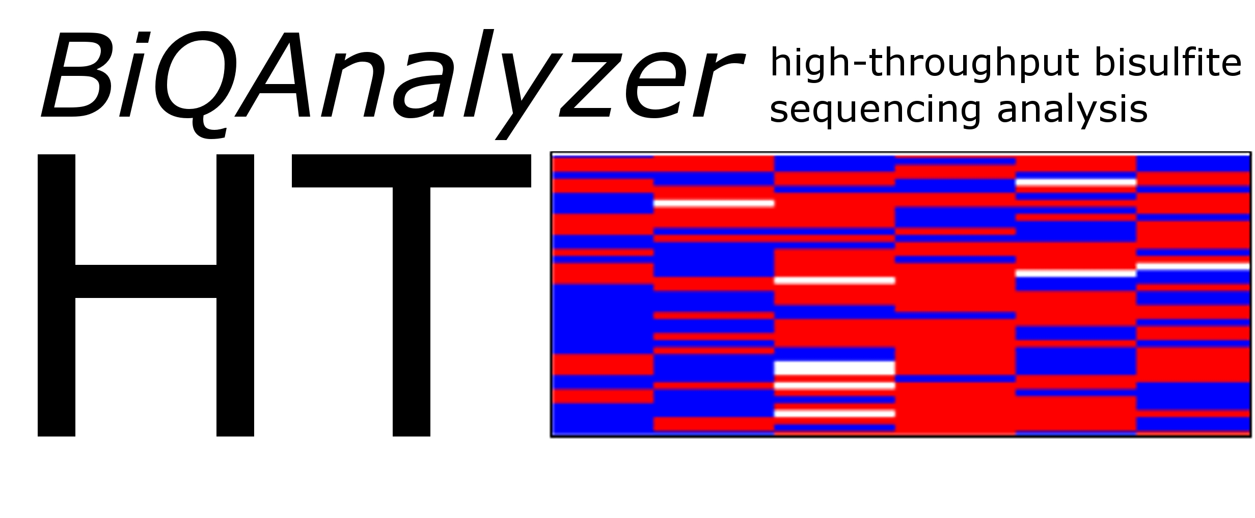biq-analyzer-ht Logo